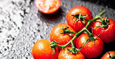 Apakah Tomat Bisa Bikin Cairan Pria Makin Joss? Cek Buktinya