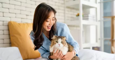 Pelihara Kucing atau Anjing Dapat Memperlambat Penurunan Kognitif, Kata Penelitian