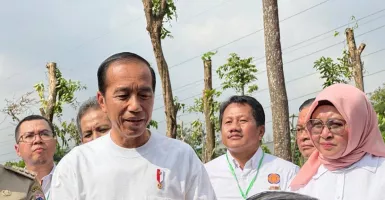 Respons Jokowi soal Kritik Megawati Singgung Penguasa Seperti Orde Baru