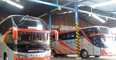 Manajemen Rosalia Indah Akan Tindak Awak Bus yang Terbukti Terlibat Pencurian