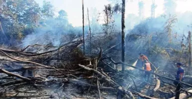 BMKG Deteksi 42 Titik Panas di Kalimantan Timur, Ini Sebarannya