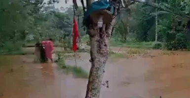 Banjir di Sukabumi, Rumah dan Tambak Ikan serta Lahan Pertanian Terendam Air