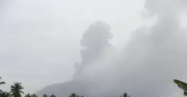 Awas! Gunung Ibu di Maluku Utara Meletus, Muntahkan Abu Vulkanik Setinggi 1 Km