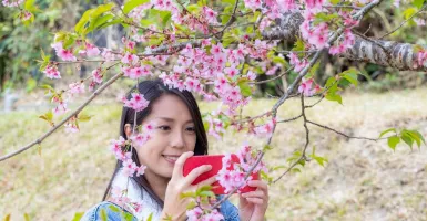 5 Bunga Tradisional Jepang yang Cantik Beserta Maknanya