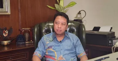 Soal Pejuang Dukung Prabowo Subianto, Rommy PPP: Itu Media Gimmick