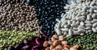 4 Manfaat Tidak Terduga Jika Kamu Konsumsi Kacang-kacangan Setiap Hari