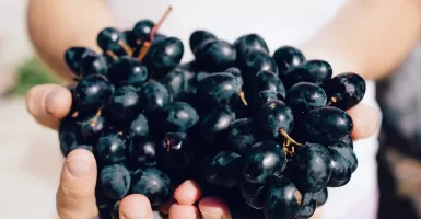 Makan Anggur Hitam Setiap Hari, Manfaatnya Nggak Main-main