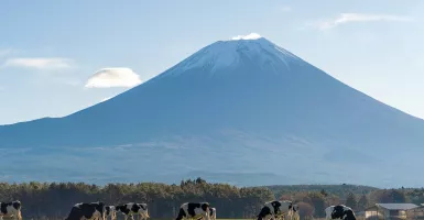Jepang Membatasi Jumlah Pengunjung yang Ingin Mendaki Gunung Fuji