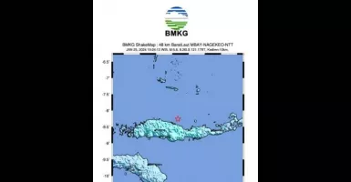 Gempa Magnitudo 5,6 Guncang Laut Flores, BMKG Ungkap Penyebabnya