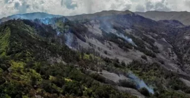 Tok! Terdakwa Kebakaran Hutan Gunung Bromo Divonis 2 Tahun 6 Bulan Penjara dan Denda Rp 3,5 Miliar