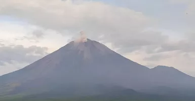 Gunung Semeru Erupsi, Muntahkan Abu Vulkanik Setinggi 500 Meter