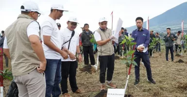 Tanam Pohon Bersama KLHK, PLN UIP JBT Dukung Upaya Menanggulangi Kerusakan Lingkungan
