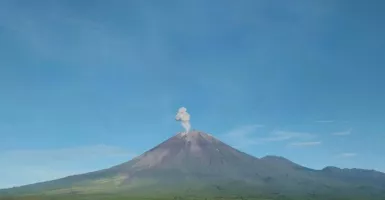 Gunung Semeru Semburkan Abu Vulkanik Setinggi 800 Meter