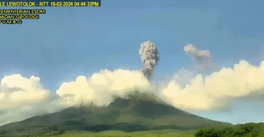 Waspada! Gunung Ili Lewotolok Erupsi, Semburkan Abu Vulkanik Setinggi 1 Km