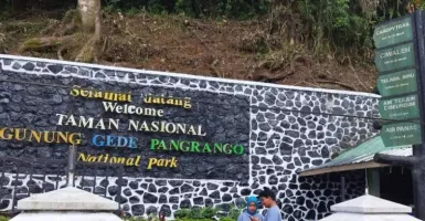 Lakukan Pendakian Ilegal di Gunung Gede Pangrango, 11 Pendaki Masuk Daftar Hitam