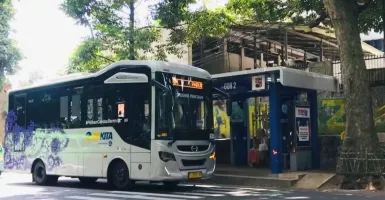 7 Bus BTS Layani Koridor Cibinong-Ciparigi Bogor