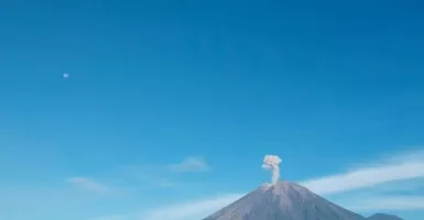 Gunung Semeru Meletus, Muntahkan Abu Vulkanik Setinggi 900 Meter