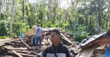 Waduh! Kawanan Gajah Liar Rusak Area Wisata Bandar Negeri Suoh dan Rumah di Lampung Barat