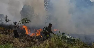 3 Daerah di Riau Darurat Kebakaran Hutan dan Lahan, Ini Titiknya