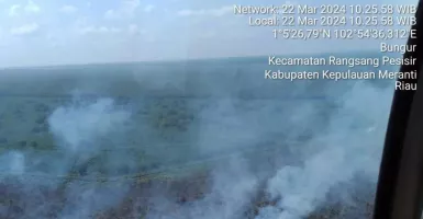 Kebakaran Hutan dan Lahan di Kepulauan Meranti Riau Capai 40 Hektare, Ini Titiknya