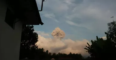 Gunung Ibu Meletus, Lontarkan Abu Vulkanik Setinggi 2,5 Km