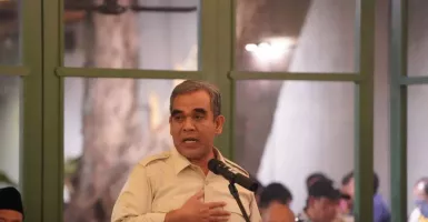 Soal Pilkada 2024 di Jakarta, Gerindra: Kami Punya Jago