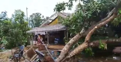 Angin Puting Beliung Terjang Jepara, 121 Rumah Warga Rusak