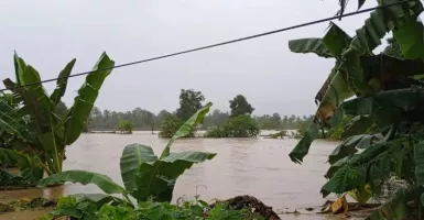 Banjir dan Tanah Longsor Terjang Luwu Sulawesi Selatan, 14 Warga Meninggal