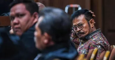 Pakar Sebut Syahrul Yasin Limpo Berpeluang Dituntut 20 Tahun Penjara