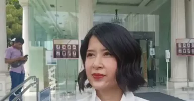 Dapat Tugas dari Jokowi di Pemerintahan, Grace Natalie: Nanti Diinfokan Deh