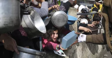 PBB Hentikan Semua Distribusi Makanan di Rafah Setelah Kehabisan Pasokan Gaza Selatan