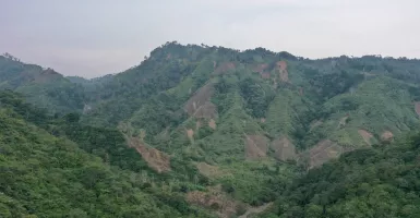 PLN Pastikan Keberlanjutan Penanaman Konservasi Hutan di Sekitar PLTA Upper Cisokan