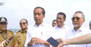 Soal Super Koalisi Bobby Nasution, Jokowi: Partai-partai Itu Pintar-pintar