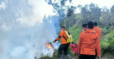 Penanjakan Gunung Bromo Kebakaran, Lahap Ilalang hingga Pinus