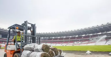 Persiapan Timnas Indonesia vs Australia, GBK Siapkan Rumput yang Terbaik