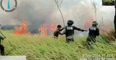 Waduh! Taman Nasional Way Kambas Kebakaran, Ini Kondisinya