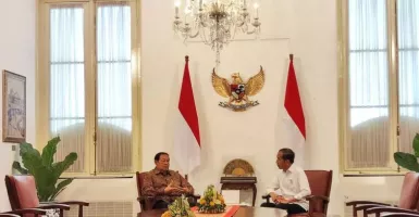 Presiden Jokowi Jumpa SBY, Ini yang Dibahas