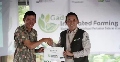 Pegadaian: Jalan Menuju Ketahanan Pangan Berkelanjutan dengan Pertanian Organik