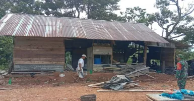 Waduh! Kawanan Gajah Liar Rusak Rumah Warga di Lampung Barat, Ini Kondisinya