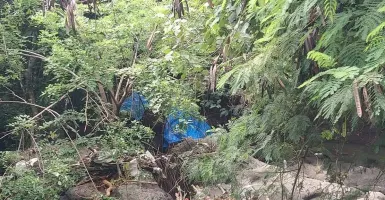 Bikin Sedih! Terseret Arus Banjir, Gajah Bali Zoo Molly Ditemukan Mati