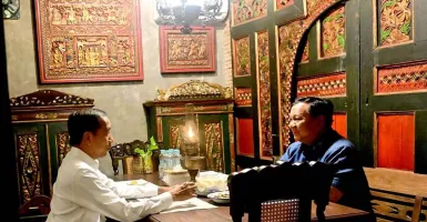 Pengamat Sebut Publik Tak Rela Presiden Prabowo Dikendalikan Jokowi