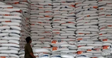 Stok Beras RI Tembus 3,7 Juta Ton, Terproduktif di ASEAN dan Tertinggi Sejak 1969