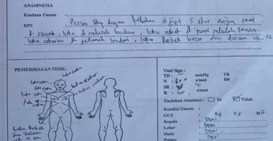 Anak 13 Tahun Digigit 5 Anjing Liar di Lombok, Alami Luka di Kaki hingga Badan