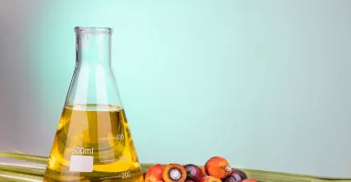 4 Manfaat Minyak Kelapa Sawit bagi Tubuh, Lebih dari Sekadar Bahan Masakan