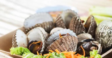Kerang Lezat dan Bergizi, Tetapi Bisa Picu Alergi