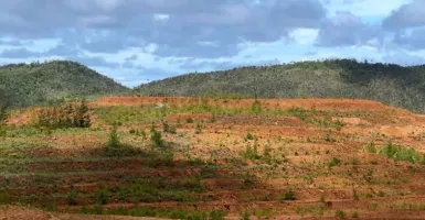Disebut Rusak Lingkungan, ESDM Justru Bilang Tambang di Pulau Gag Aman