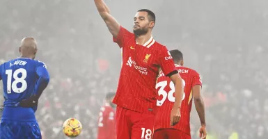 Disebut Hengkang ke Bayern Munchen, Cody Gakpo: Saya Fokus di Liverpool