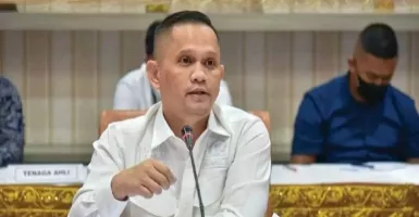 Ada Bukti Kepemilikan, Tito Karnavian Didesak Kembalikan 4 Pulau ke Aceh