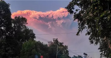 Pengungsi Erupsi Gunung Lewotobi Bertambah, BNPB Pastikan Fasilitas Dasar Tetap Aman