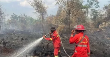 30 Hektare Lahan di Riau Diduga Sengaja Dibakar, Polisi Turun Tangan